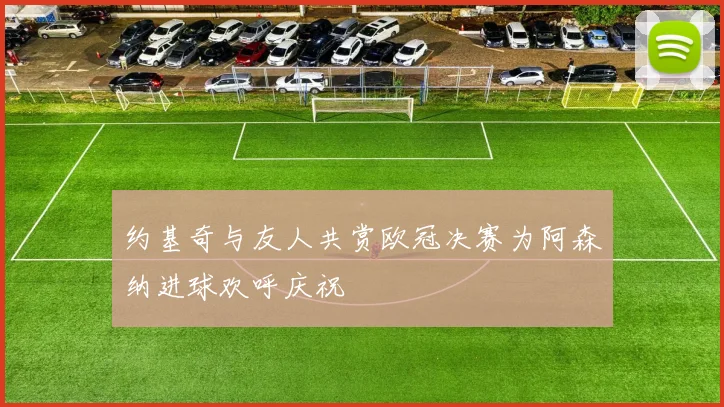 约基奇与友人共赏欧冠决赛为阿森纳进球欢呼庆祝