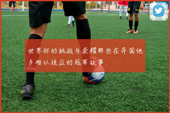 世界杯的挑战与荣耀那些在异国他乡难以适应的冠军故事