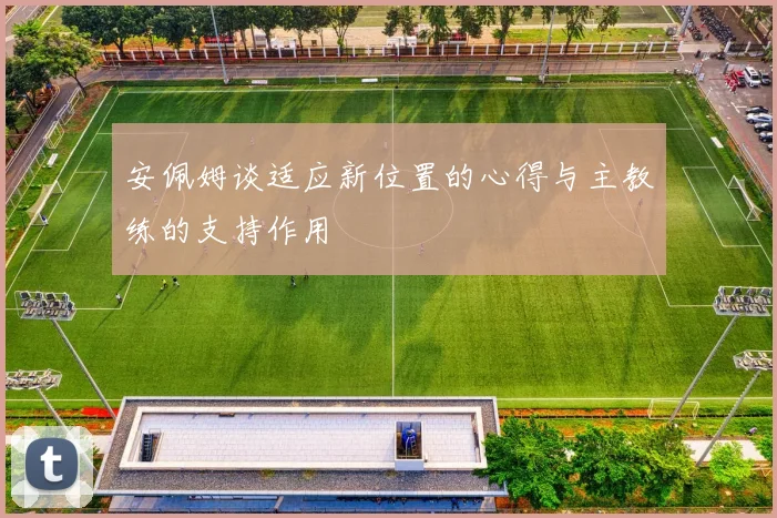 安佩姆谈适应新位置的心得与主教练的支持作用